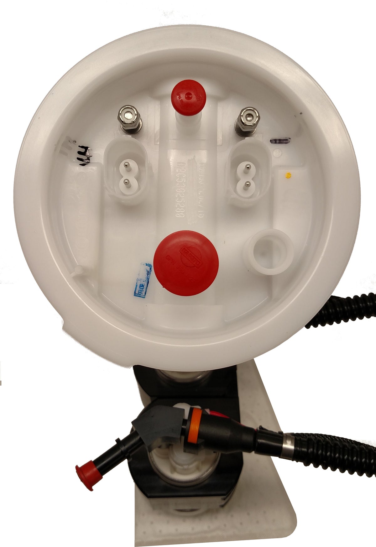 BMW E-Series Walbro Bucketless LPFP Kit Options – Fuel-It!